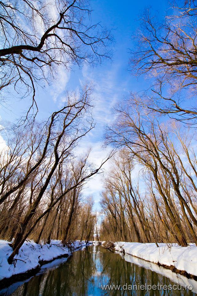 Delta Dunarii - Super Fotografii - delta-dunarii-foto.jpg